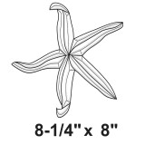 EC303-Exquisite Cluster Starfish