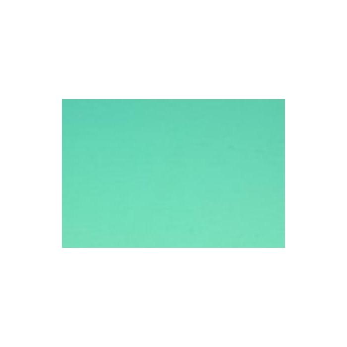 W1261H-Pale Mint Green Corella #C322 10.5&#34;x16&#34;