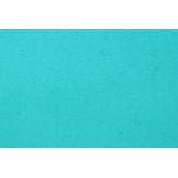 W1279H-Light Turquoise Corella #C158 10.5&#34;x16&#34;