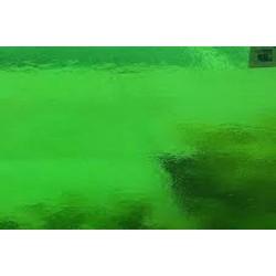 WF5119H-96 Luminescent Garden Green Trans. #96-17 10.5&#34;x10.5&#34;