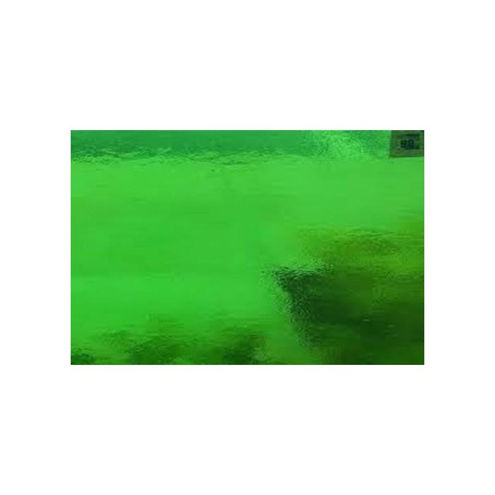 WF5119H-96 Luminescent Garden Green Trans. #96-17 10.5&#34;x10.5&#34;