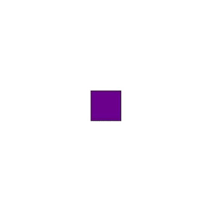 46093-Glassline Bottle Pen Purple