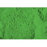 42130-Reusche Lead Free Paint Apple Green